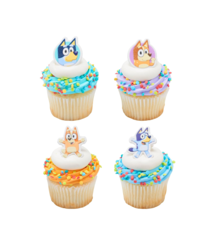 Bluey So Much Fun Rings